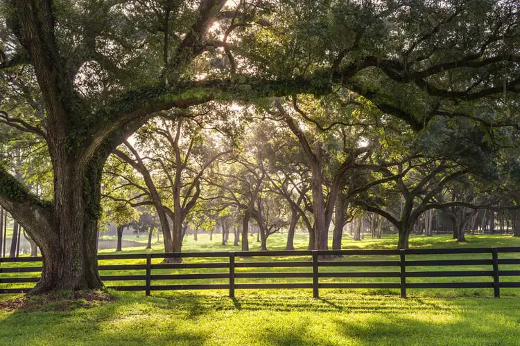 Benefits of Rural Living