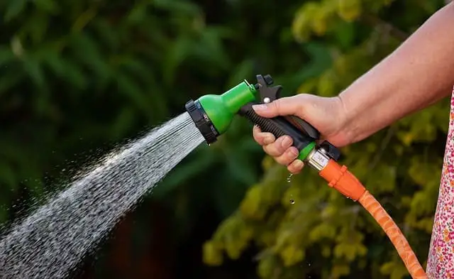 Watering your lawn with a garden hose