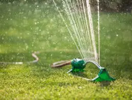 How Often Should You Water Lawn